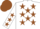 Silk - White, brown stars, white sleeves, brown stars, brown cap