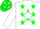 Silk - Green/ white star on back / green stars on white sleeve