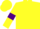 Silk - Yellow body, purple belt, yellow arms, purple armlets, yellow cap