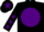 Silk - Black body, purple disc, black arms, purple stars, black cap, purple star