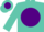 Silk - Turquoise, turquoise 'njs 'on purple disc