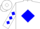 Silk - White, blue r r in diamond frame, white and blue diamonds on sleeves