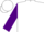 Silk - White, purple sleeves,  purple horse head