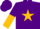 Silk - Purple, gold star, gold halves sleeves