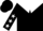 Silk - Black, black star on white yoke, white stars on sleeves