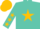 Silk - Turquoise, gold star, gold stars on sleeves, gold cap
