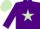 Silk - Purple, light green star, light green cap