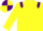 Silk - Yellow body, purple shoulders, yellow arms, yellow cap, purple quartered