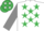 Silk - White, emerald green stars, grey sleeves