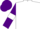 Silk - White, purple sleeves, white armlets, purple cap