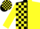 Silk - Black and yellow diagonal halves, black and yellow blocks on back and sleeves
