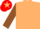 Silk - Beige, brown sleeves, red cap, beige star