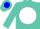 Silk - Turquoise, blue 'j and j' on white ball