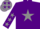 Silk - Purple, grey star, purple sleeves, grey stars