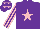 Silk - Purple, pink star, striped sleeves and stars on cap