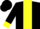 Silk - Yerllow, black'sjd', black sleeve with yellow stripe, yellow cuffs