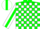 Silk - Forest green & white blocks, white sleeves with green vertical stripe