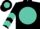 Silk - Black, black tower on turquoise ball, turquoise 'jr' and chevrons on sleeves