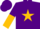 Silk - Purple, gold star, purple & gold halved sleeves
