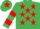 Silk - Emerald Green, Red stars, hooped sleeves and star on cap