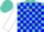 Silk - Turquoise and blue blocks, white circle 'b', blue and white sleeves