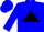 Silk - Blue, black triangle, black band on sleeves