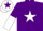 Silk - PURPLE, white star, halved sleeves, white cap, purple star