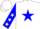 Silk - White, white star in blue star, blue sleeves with white stars and cuffs