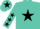 Silk - Turquoise, black star, black stars on sleeves, turquoise cap, black star