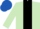 Silk - Light green, black panel, black armlet, royal blue cap
