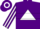 Silk - Purple, white triangle, white hoop, white stripe on sleeves