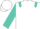 Silk - White, turquoise logo, epaulets on sleeves