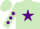 Silk - Light Green, Purple star, Light Green sleeves, Purple diamonds, Light Green cap