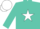 Silk - Turquoise, turquoise 'c/r' on black framed white star, white cap