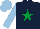 Silk - Dark blue, emerald green star, light blue sleeves and cap