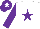 Silk - White body, purple star, purple arms, purple cap, white star