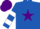 Silk - Royal blue, purple star, royal blue & white hooped sleeves, purple cap