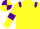 Silk - Yellow body, purple epaulets, yellow arms, purple armlets, yellow cap, purple quartered