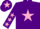 Silk - PURPLE, pink star & stars on sleeves, purple cap, pink star
