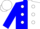 Silk - Navy, blue and white halves, white polka dots on navy cap