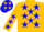 Silk - Gold with blue stars on front & back, blue trim