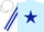 Silk - Light blue, dark blue star, white and dark blue striped sleeves, white cap