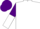 Silk - White, purple 'nh', purple and white halved sleeves, purple cap
