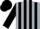 Silk - Silver, black stripes, black stripes on sleeves, silver and black cap