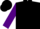 Silk - Black, purple 'r', white bars on purple sleeves