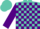 Silk - Turquoise, purple blocks, purple emblem on sleeves, turquoise cap