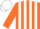 Silk - Orange, white epaulets, white stripes on orange sleeves, orange and white cap