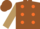 Silk - Brown, orange dots on light brown sleeves, brown cap