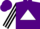 Silk - Purple, white triangle, white belt, white stripe on sleeves, purple cap