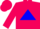 Silk - Hot pink, blue triangle, blue bars on hot pink sleeves, hot pink cap